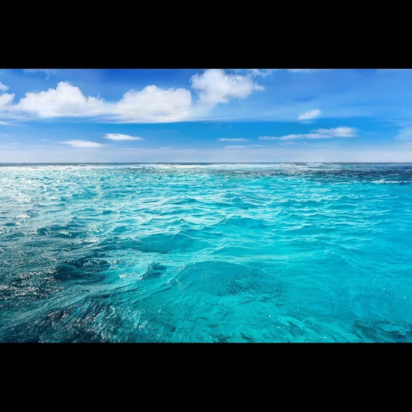 Meet your Posher, Jennifer - Picture 1 of 2